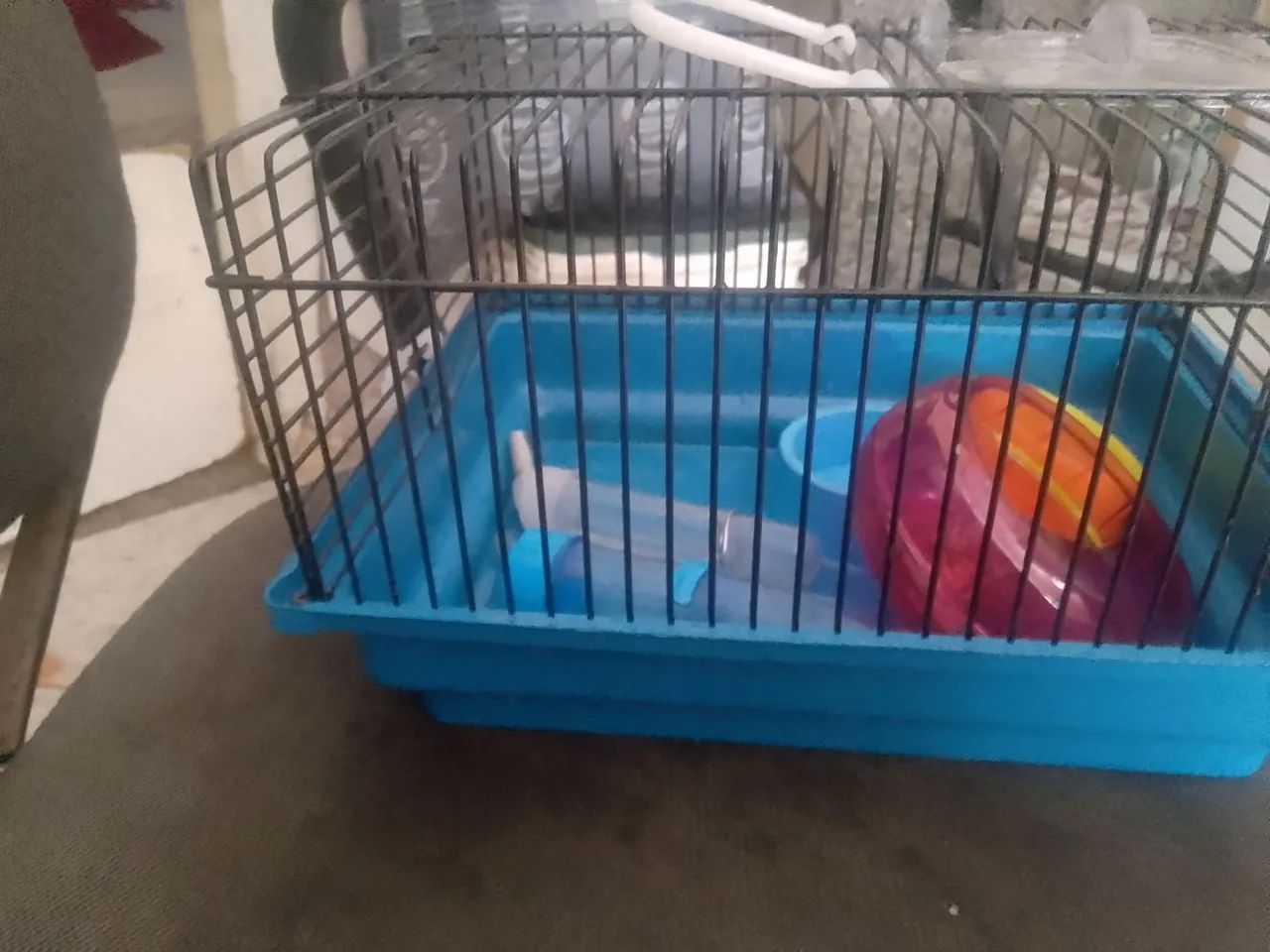 Gaiola de hamster e porquinho da india e outros roedores  - Foto 2