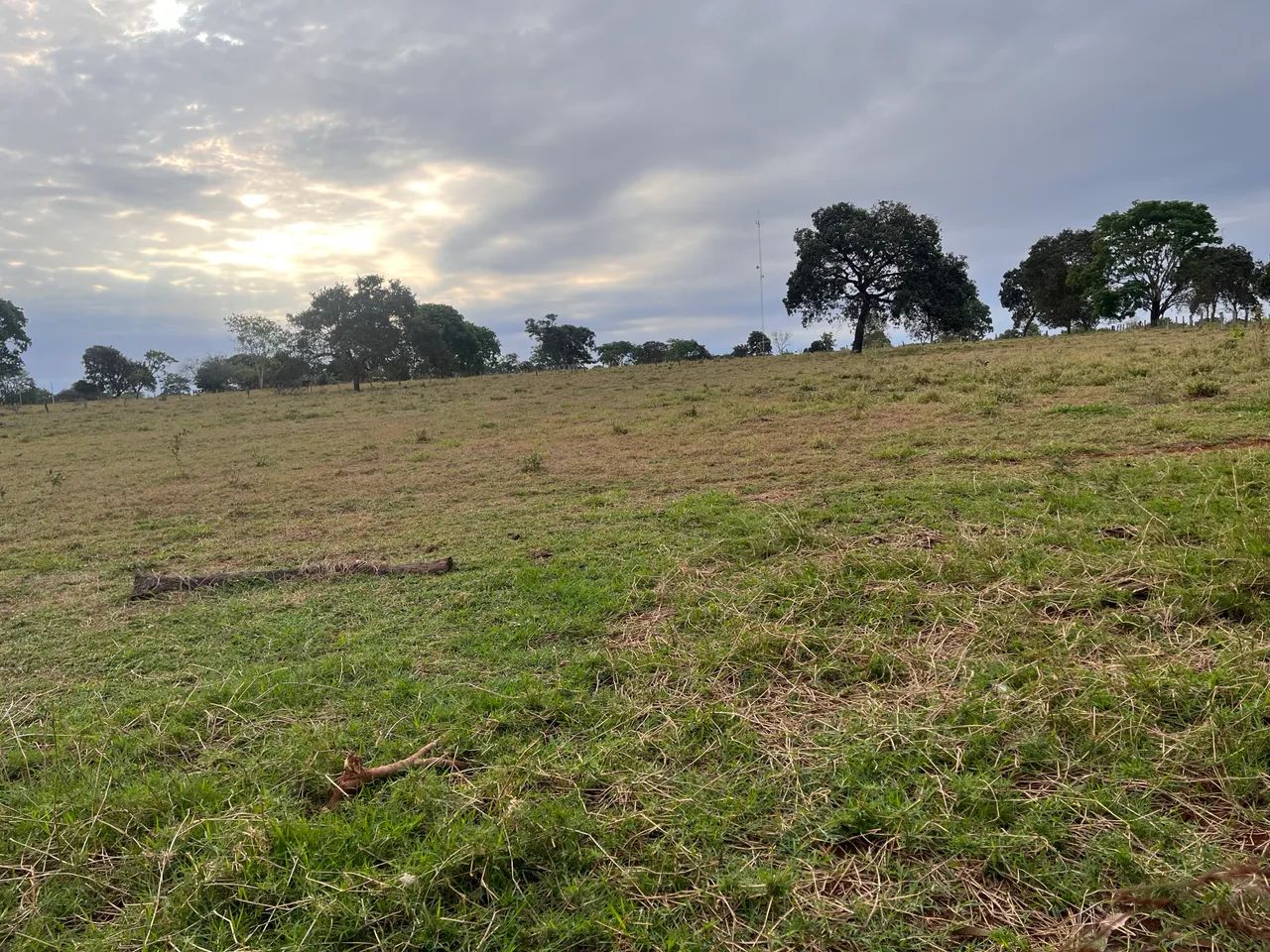 Área a venda 