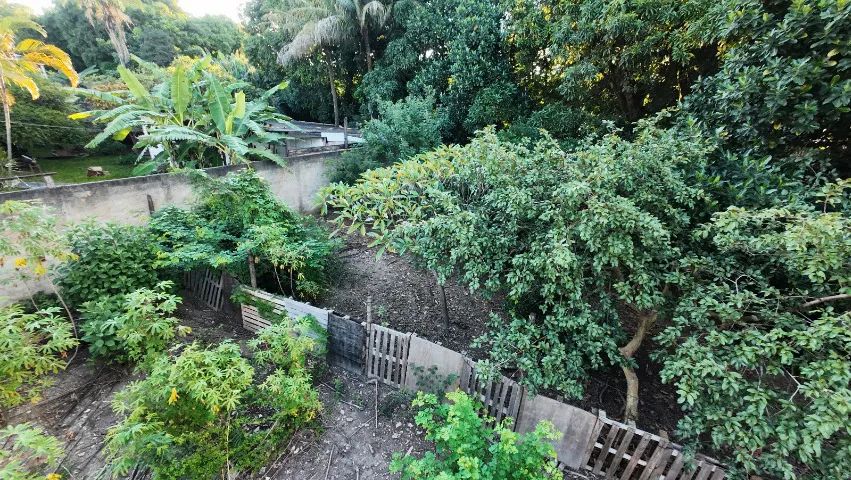 Excelente Área à Venda no Bairro Goiá - Foto 4