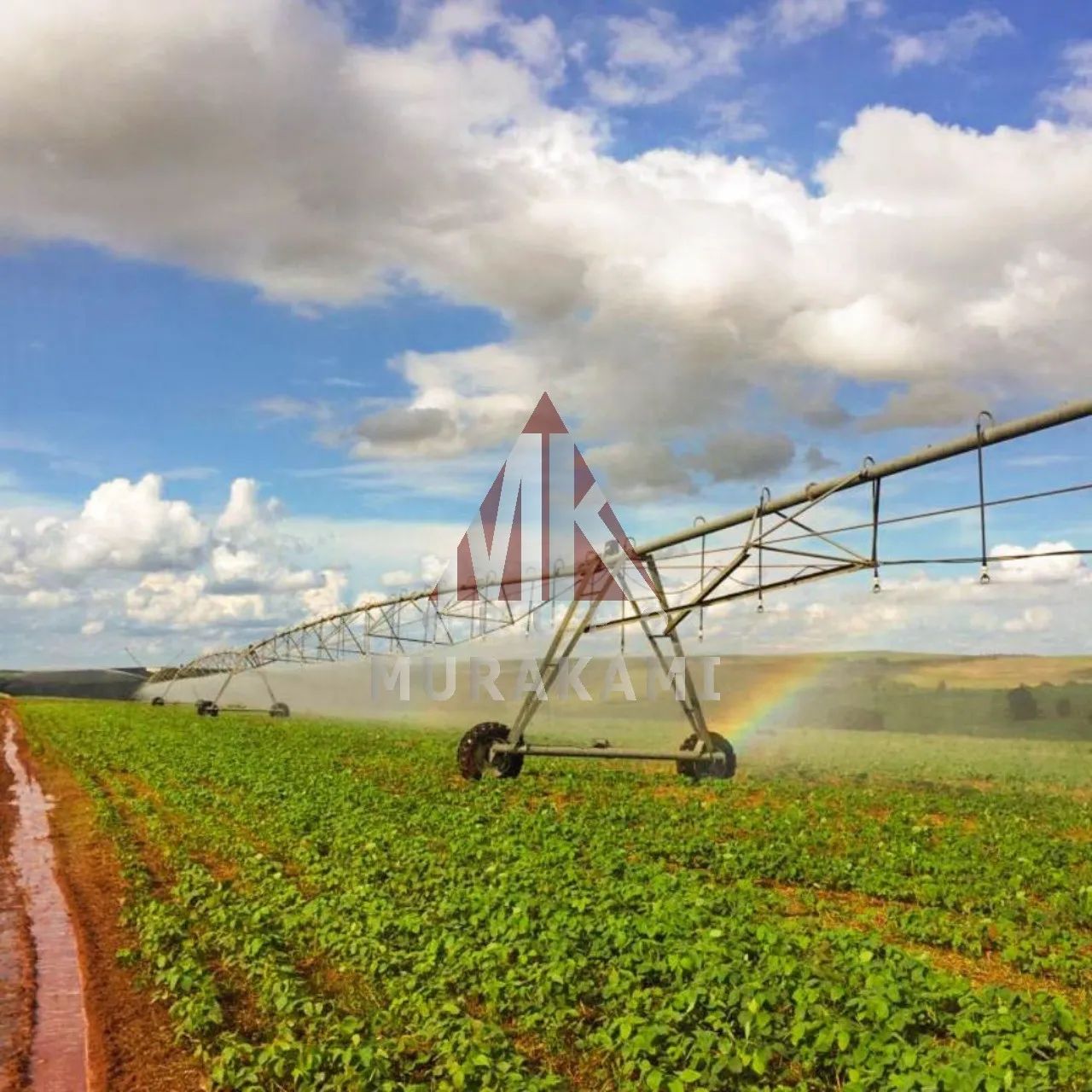 FAZENDA - FLORESTÓPOLIS - PARANÁ - Foto 4