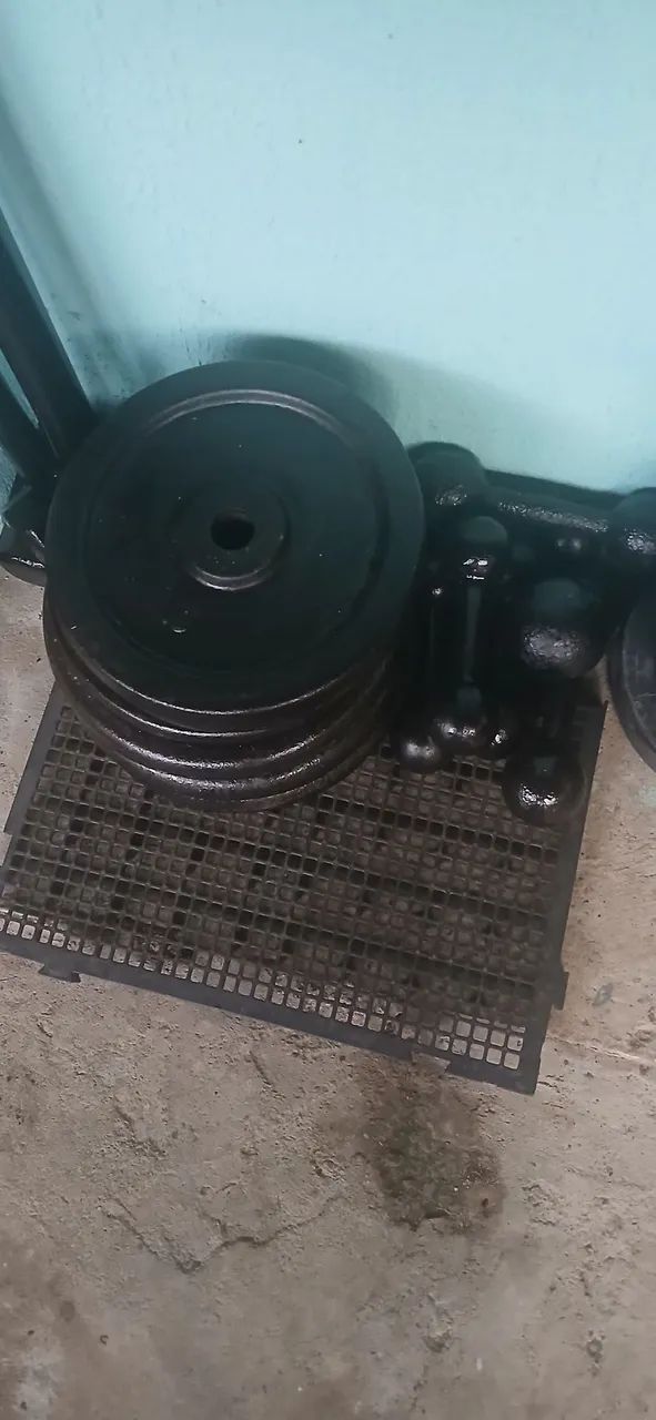 Anilhas de academia 