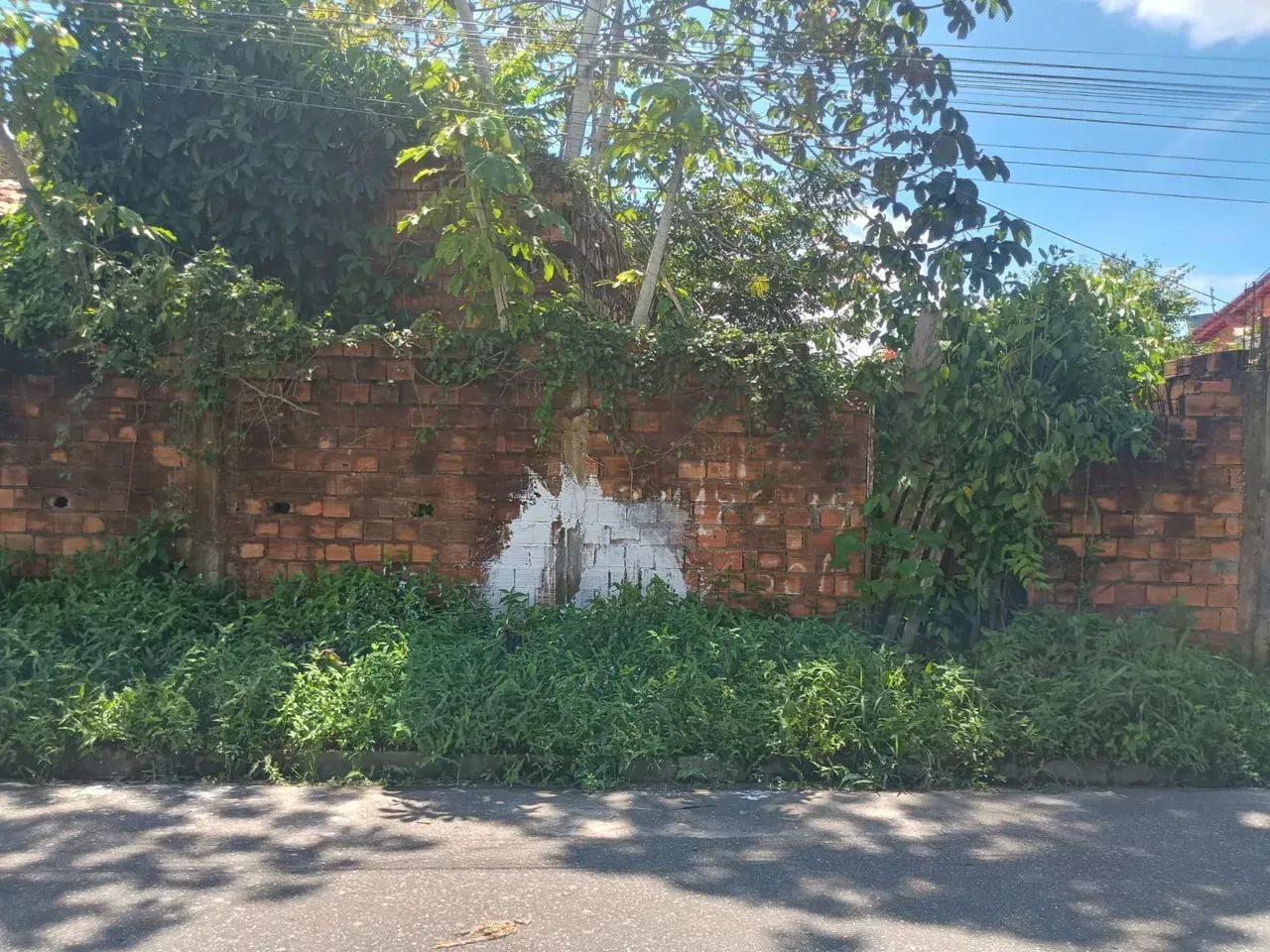 Terreno 10x60 Curuçambá px eletronorte - Foto 2