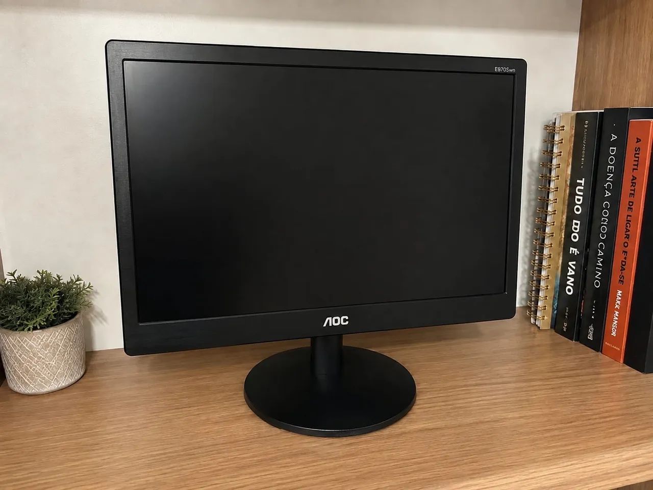 Monitor AOC 19 polegadas 