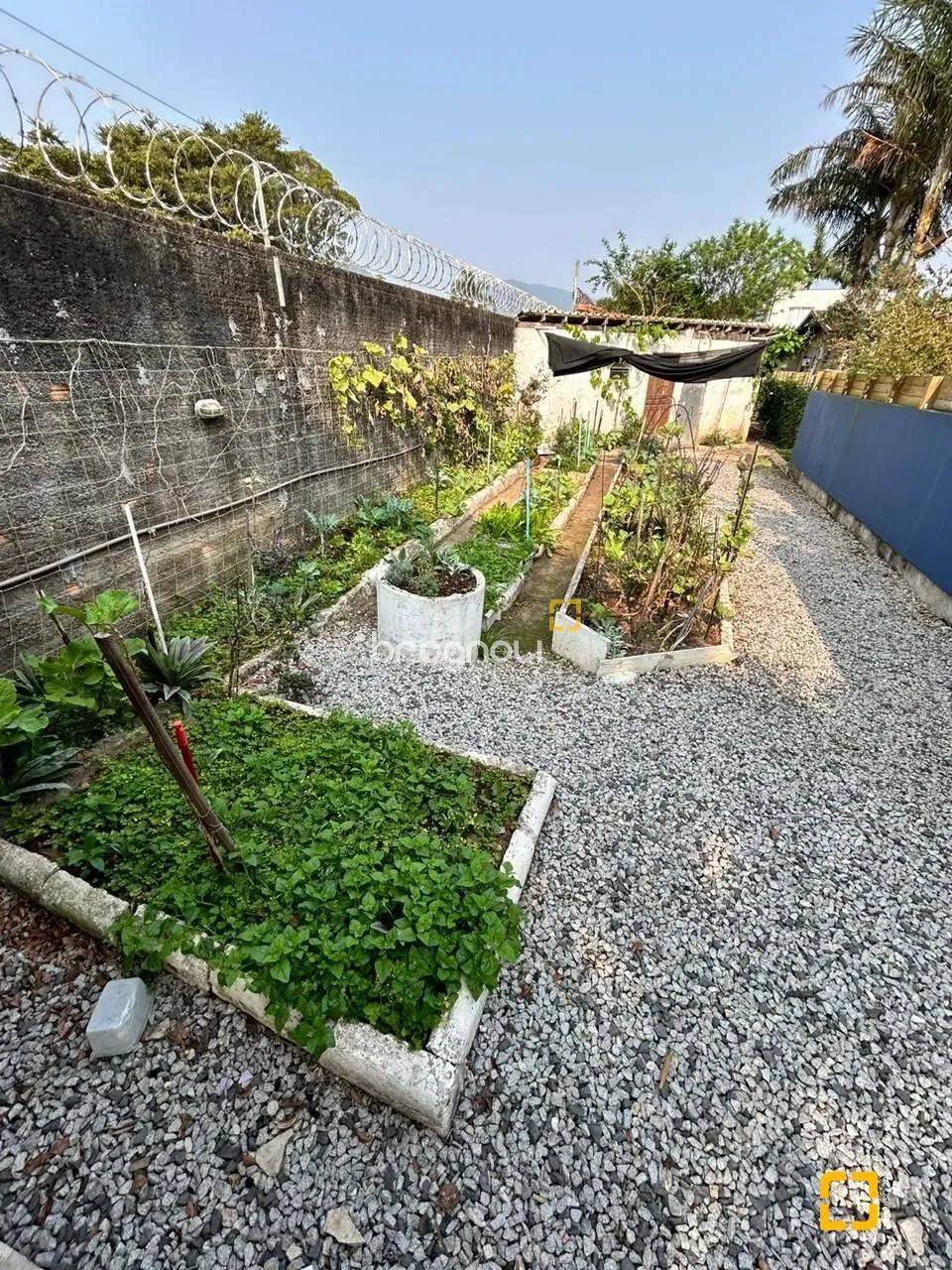 Terreno à venda no Campeche - Florianópolis - Foto 3