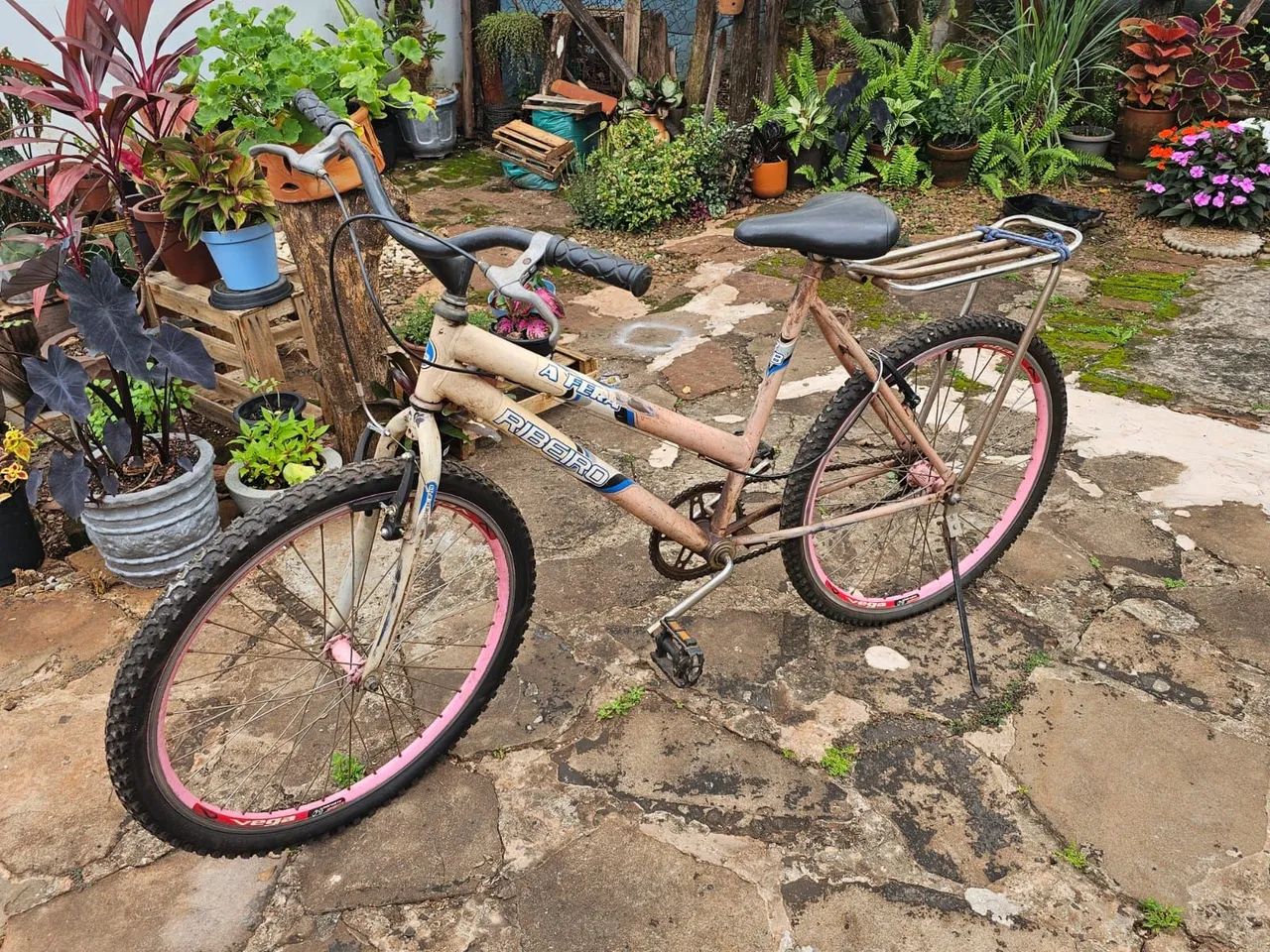 Bike Ceci - Foto 3