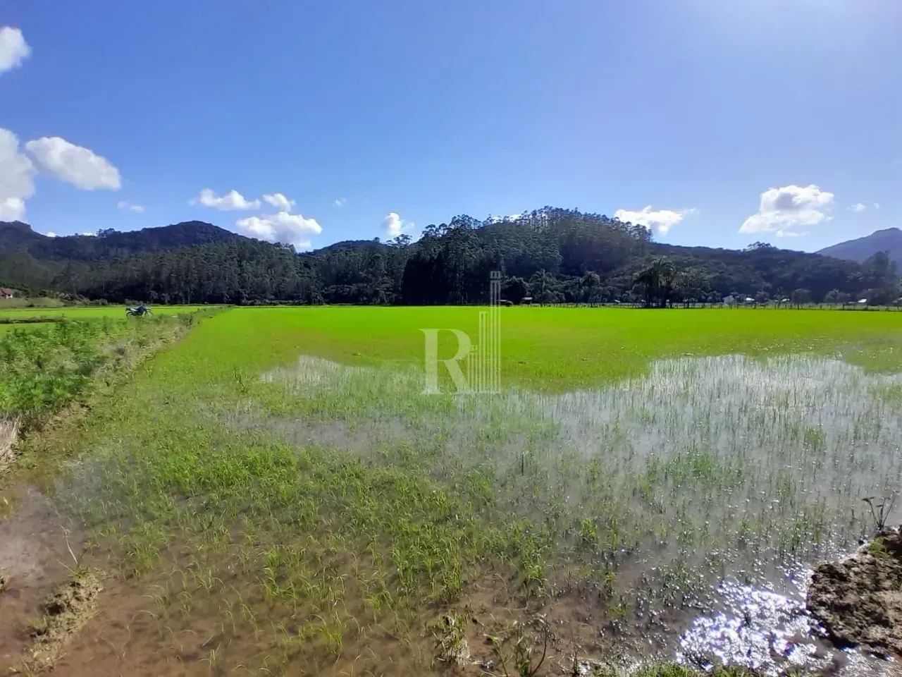 Sítio à venda, oliveira, Tijucas, SC - Foto 4