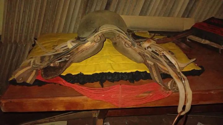 Vendo sela de vaquejada original de competição com cabeçada freio e baxeiro - Foto 2