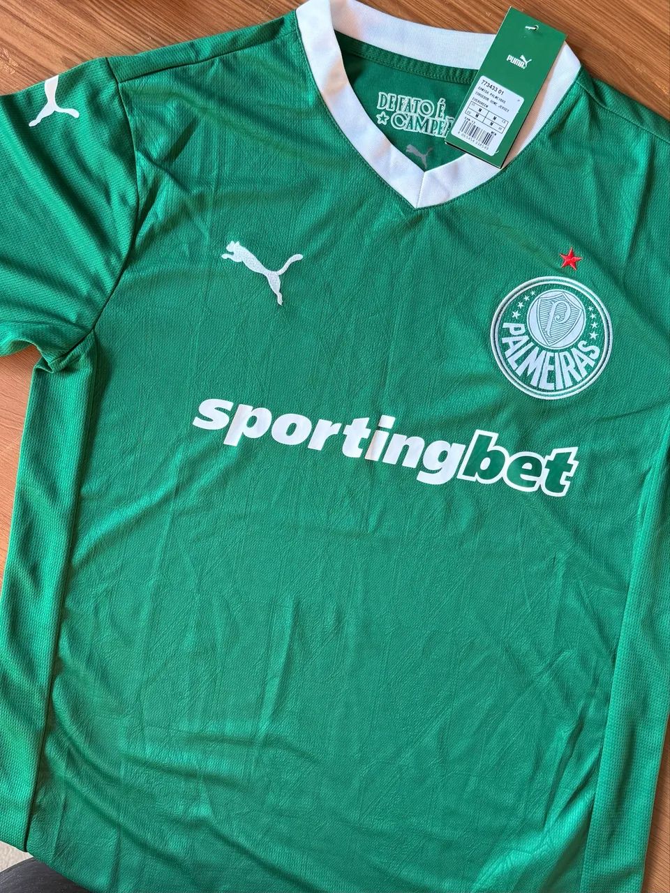 Camisa Palmeiras 25/26