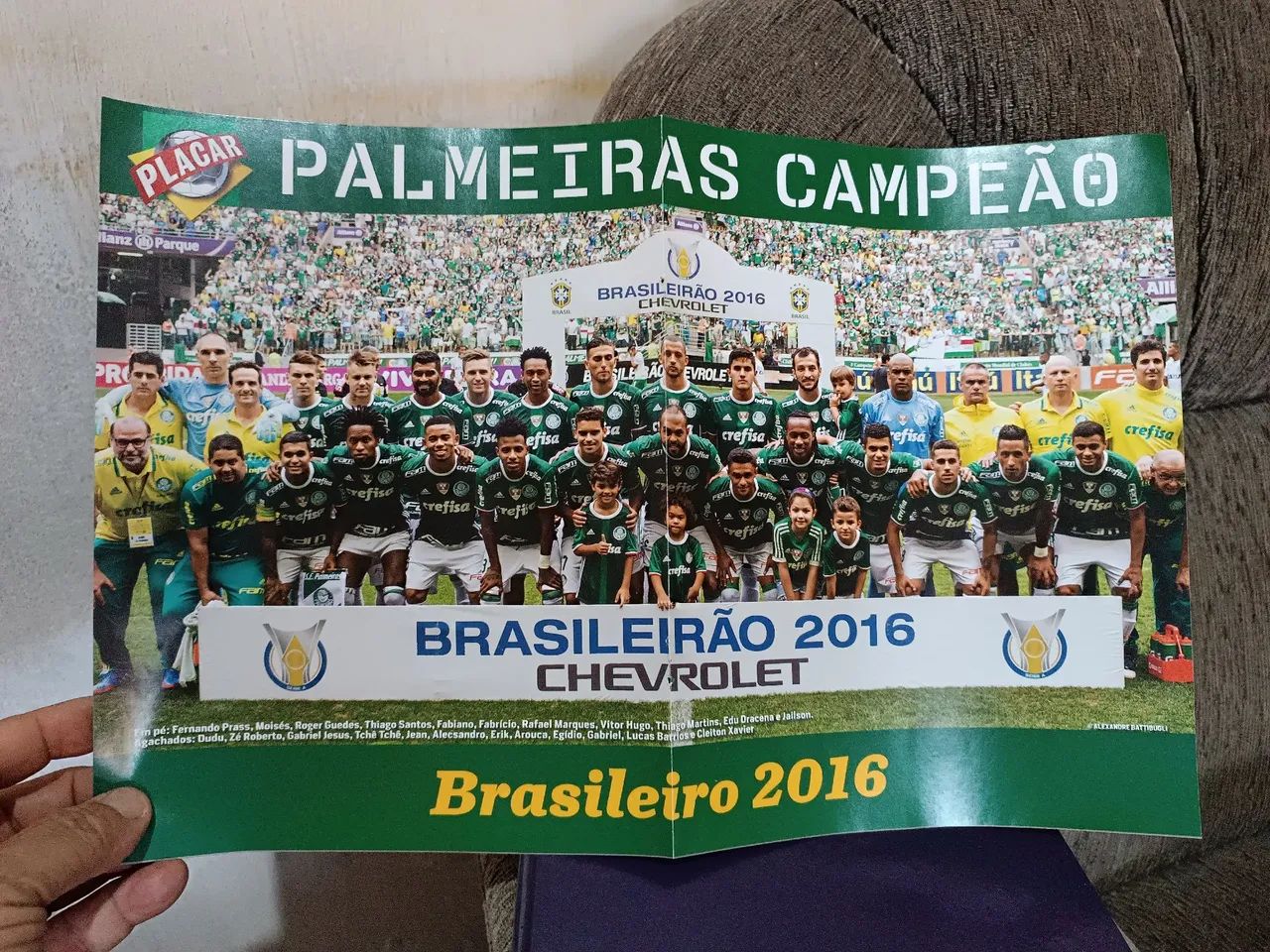 Pôster Palmeiras e Chapecoense 2016