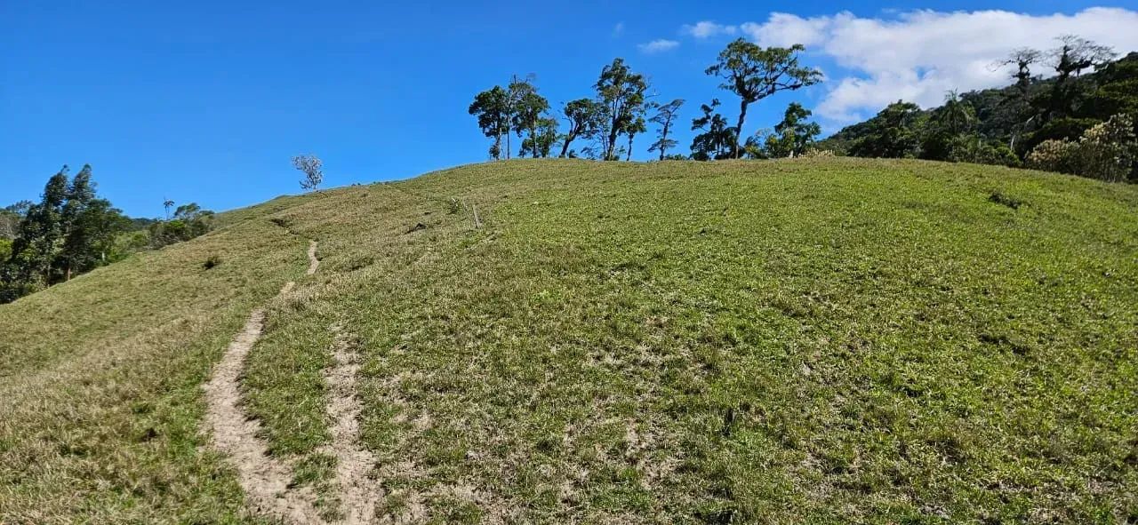 Sitios a Venda em  São Pedro de Alcântara - SC - Foto 4