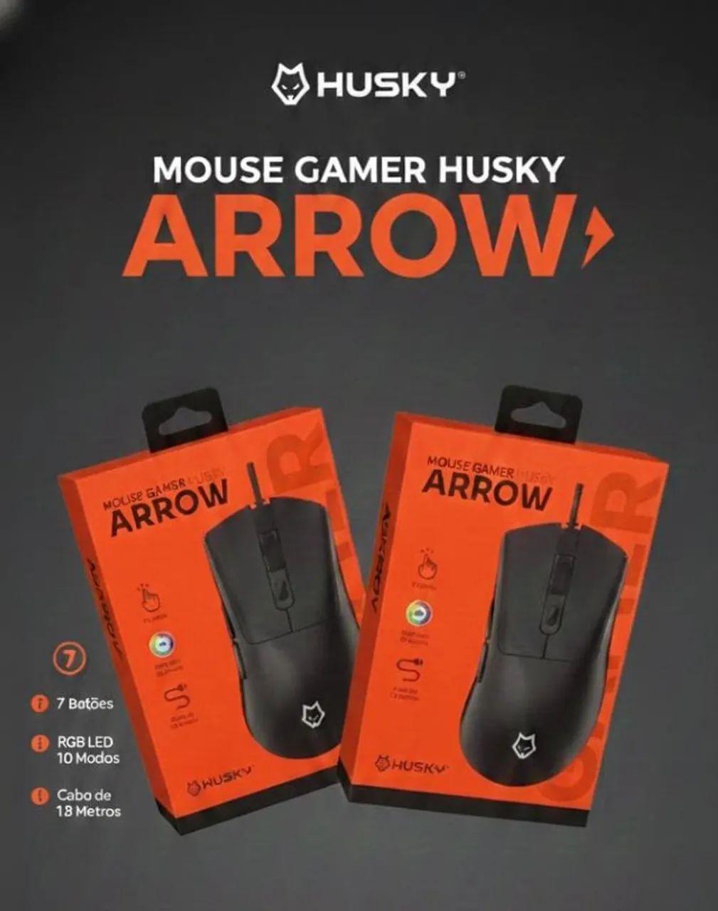 Mouse gamer
