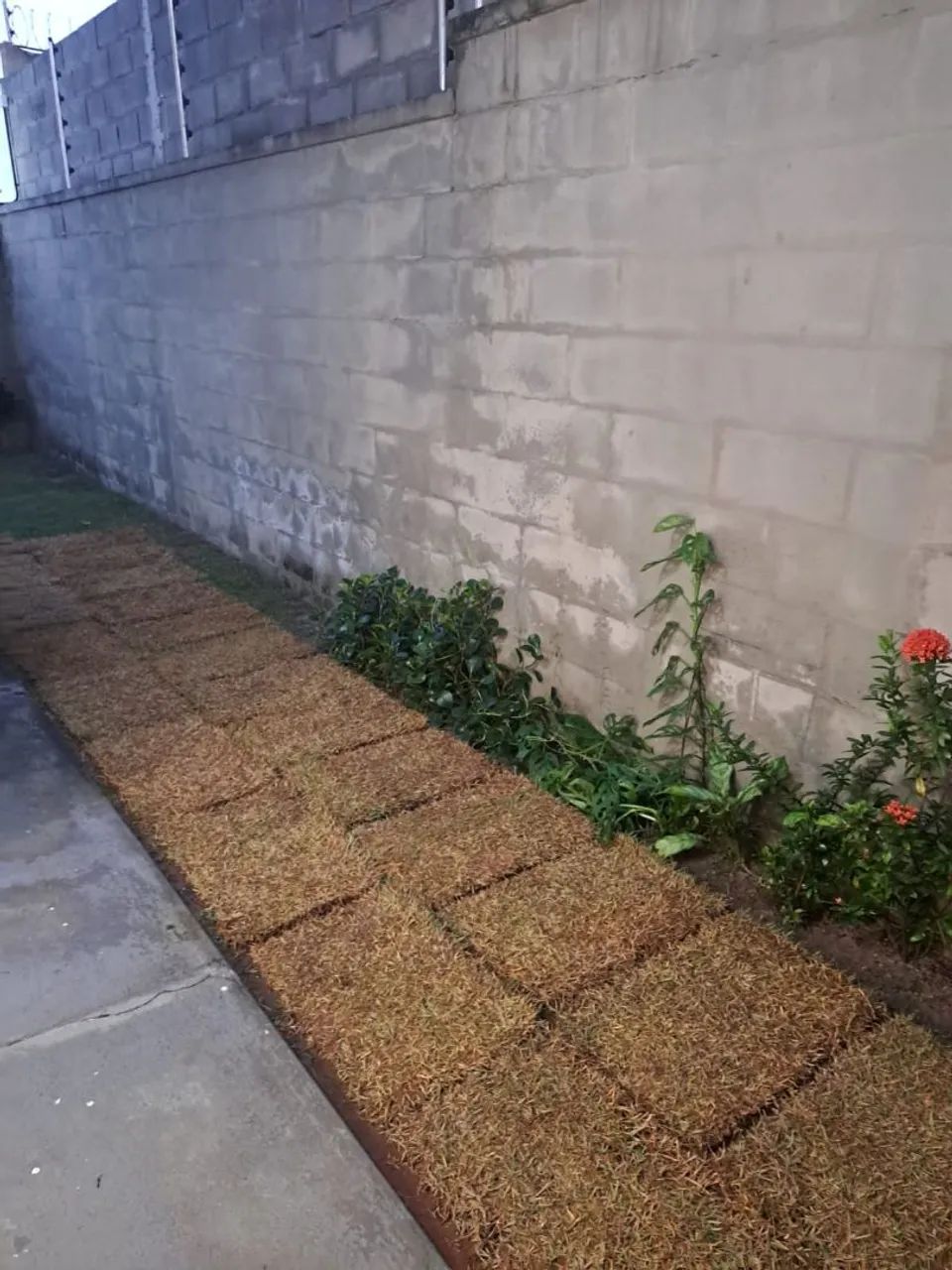 "Apartamento térreo de 2 quartos com suíte e ampla área externa privativa de 54m²" - Foto 4