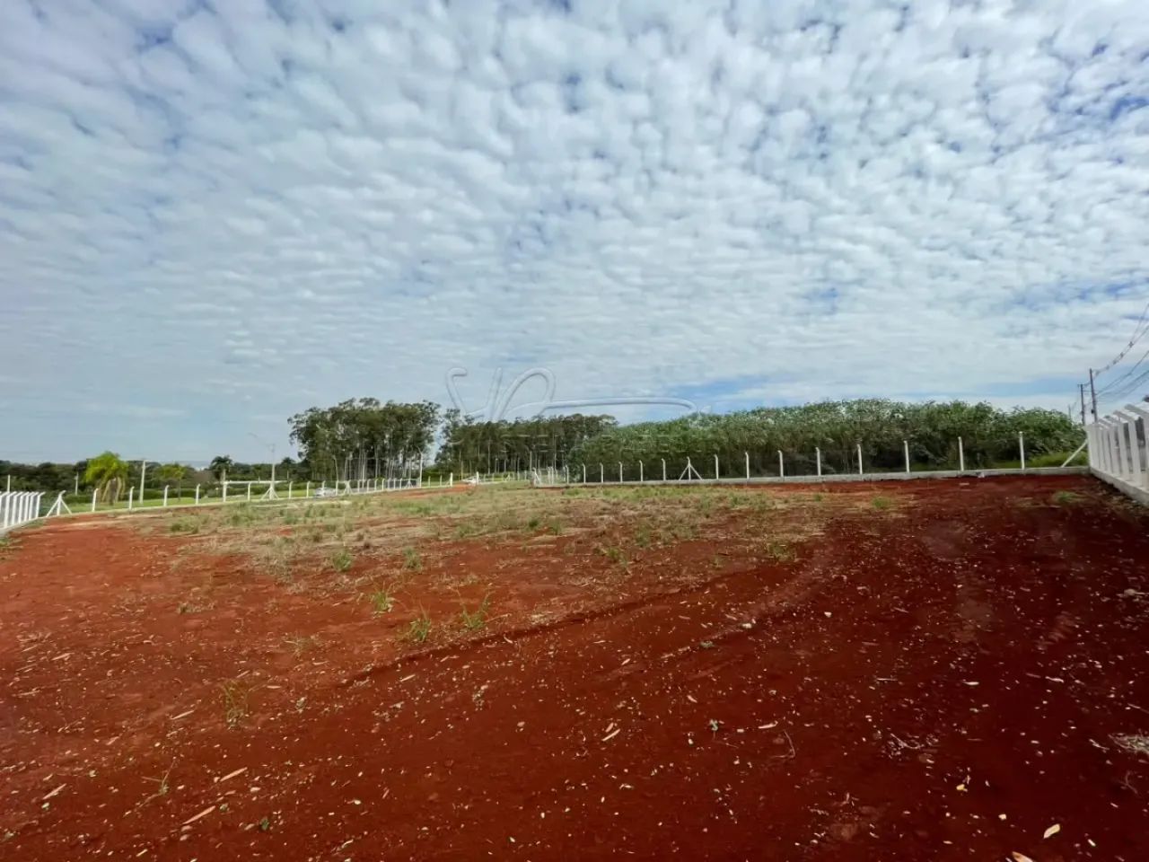 Terreno de 4.268m² para locação - Parque das Oliveiras - Foto 3