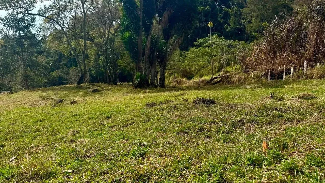 PROMOÇÃO DIA DOS PAIS  PARTE 7 | CAMBUÍ/MG