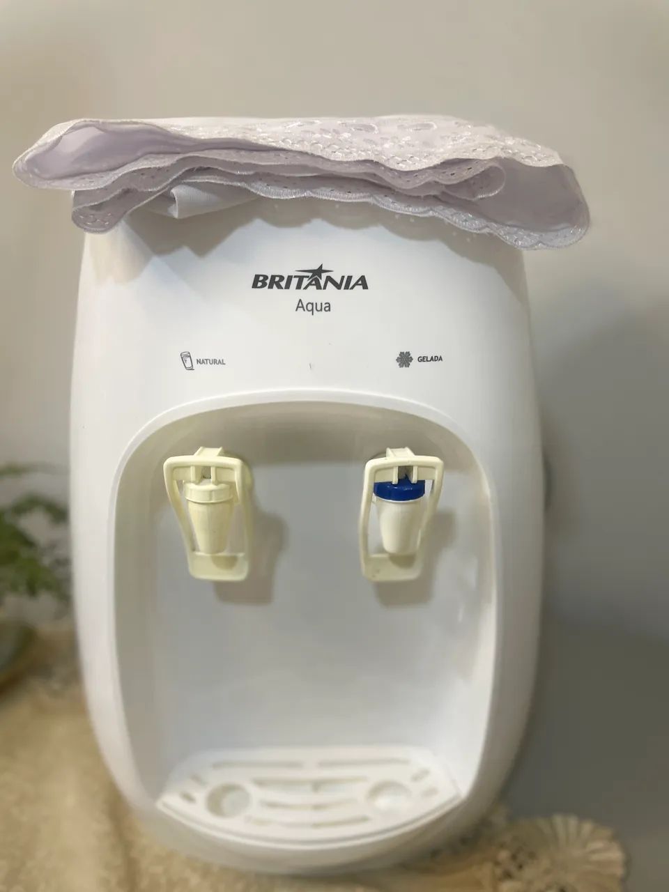 Gelagua - Foto 3