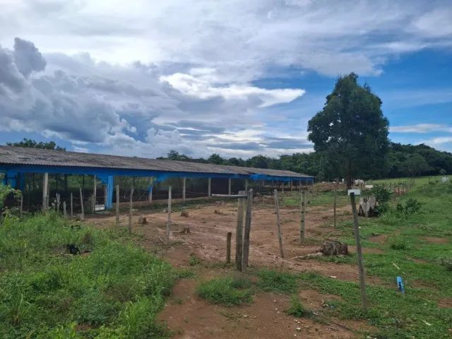 Sitio Município de Nova Ponte Mg - Foto 3