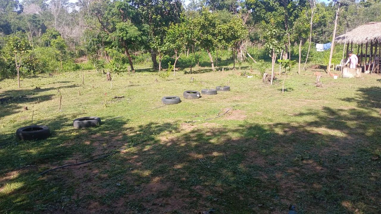 Vendo Terreno bom para sítio  - Foto 5