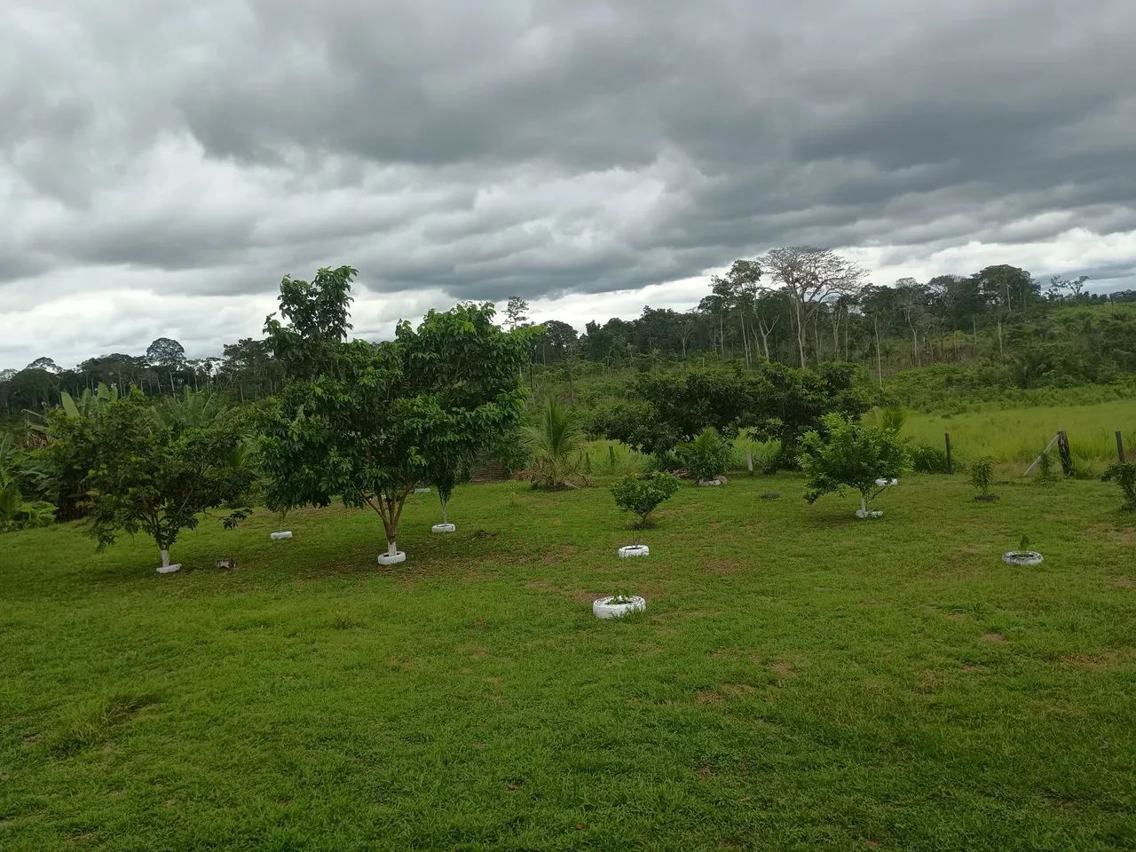 Não tem  - Foto 5