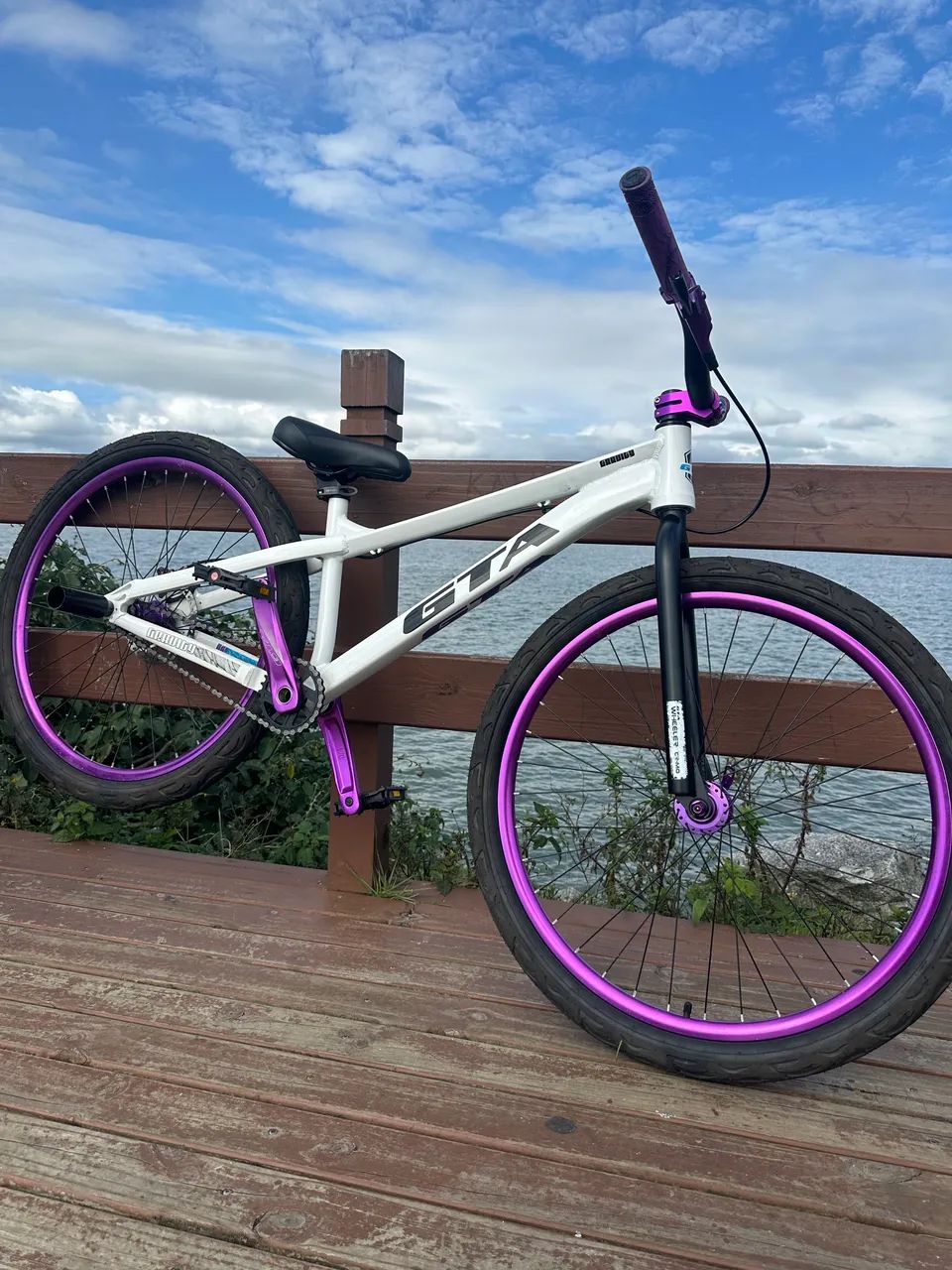 Vendo bike GTA gravity 