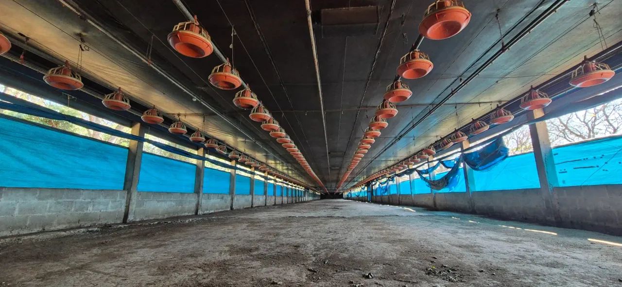 Imóvel para venda possui 400 metros quadrados com 3 quartos