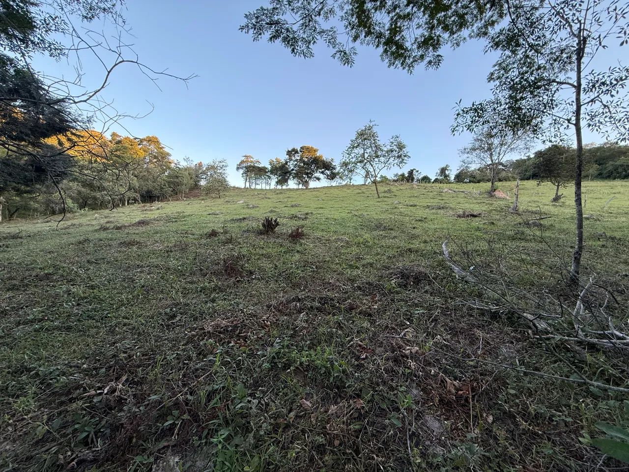 FAZENDINHA DE 2,5 HECTARES EM BONFIM/MG - Foto 2