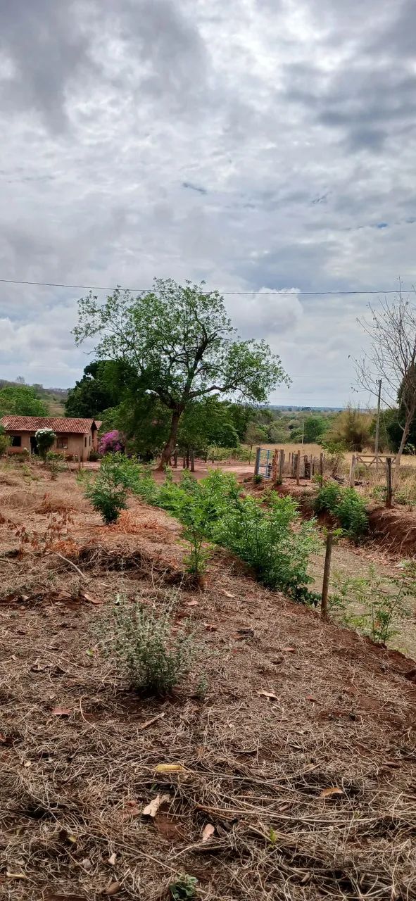 Sitio  - Foto 3