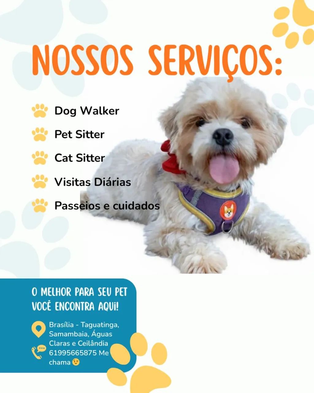 Dog Walker/ Cat Sitter  - Foto 2