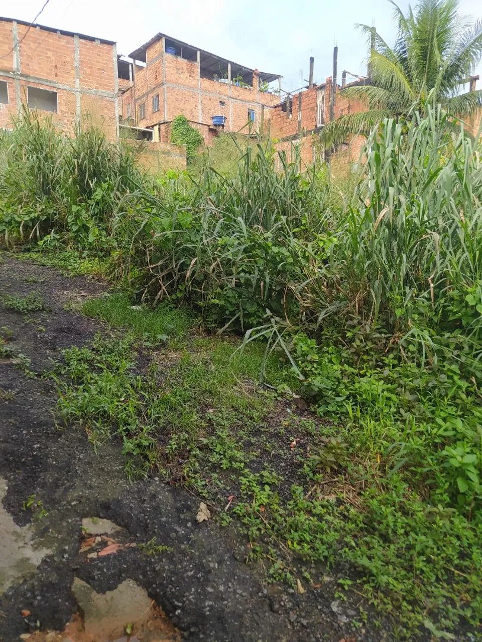 Terreno  - Foto 5