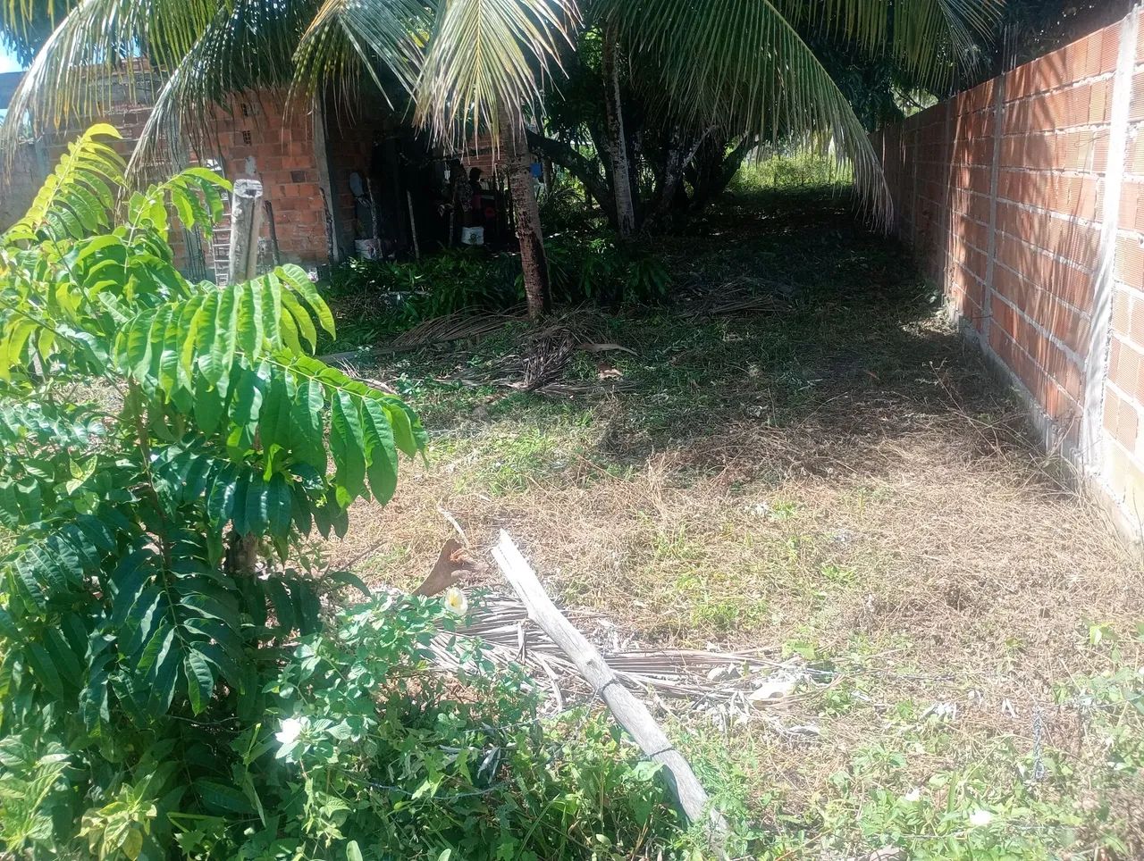 Foto - Salvador - Canabrava