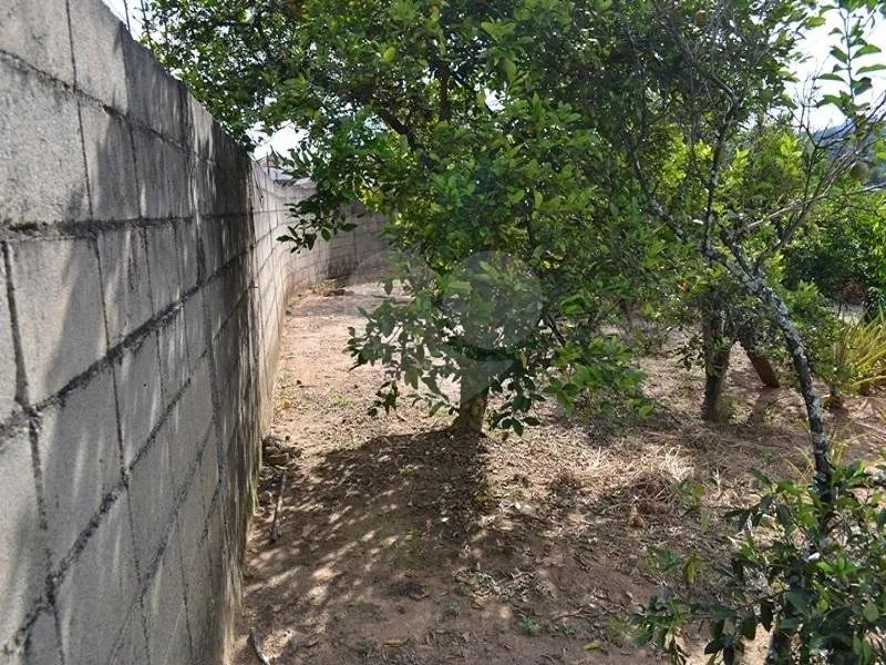 Terreno à venda em Castelo - SP - Foto 3