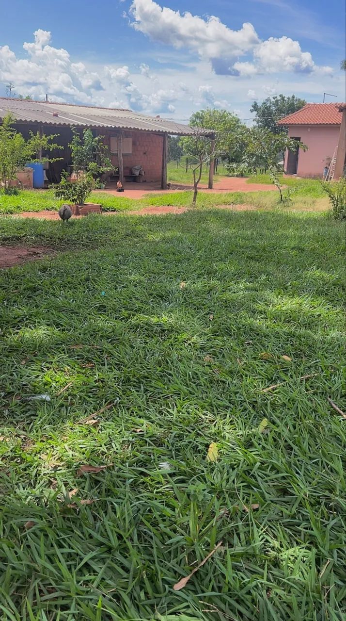 Sítio em Aquidauana-MS - Foto 2
