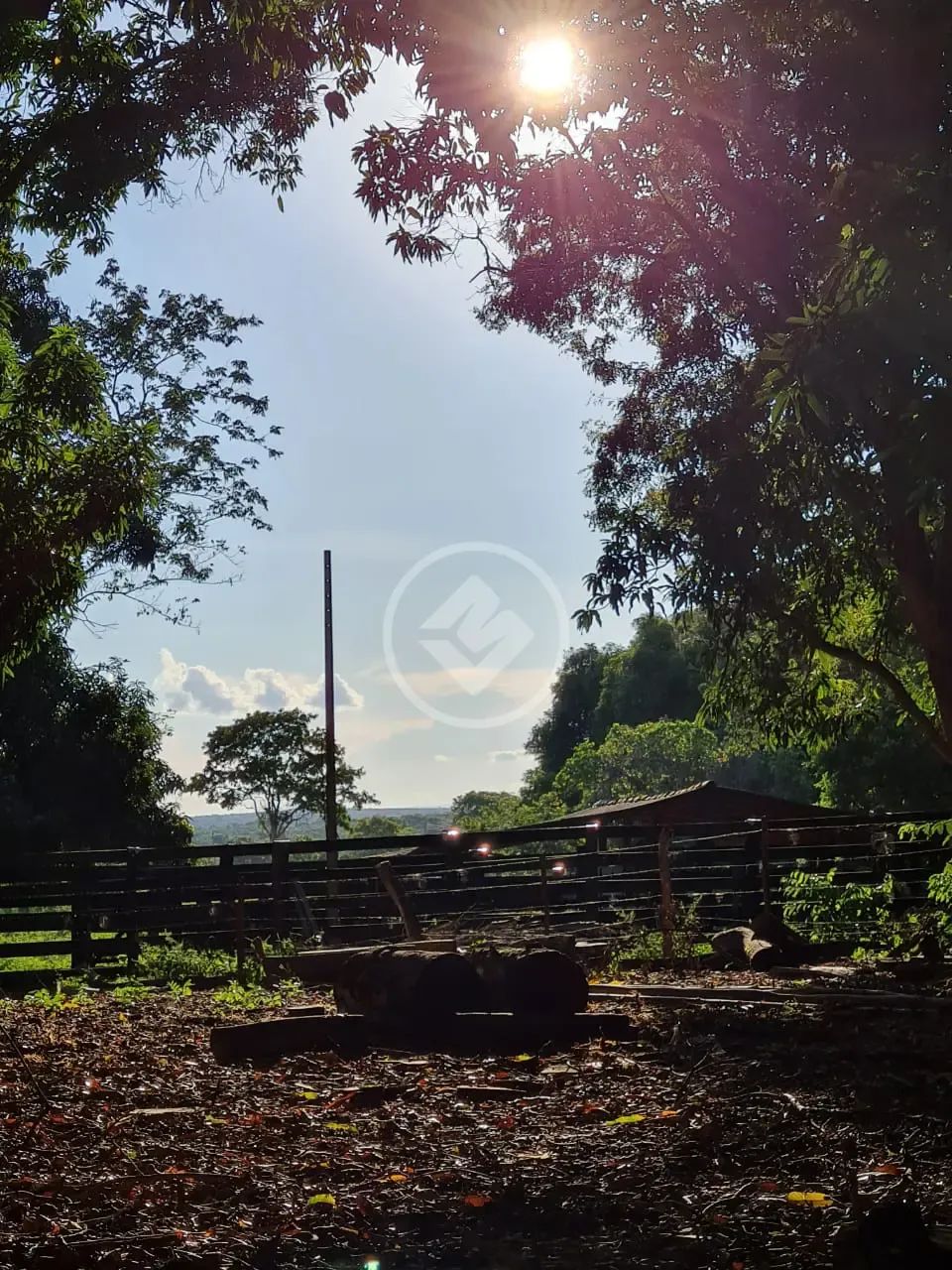sitio com otima oportunidade de produtividade e lucratividade . codigo: 74117
