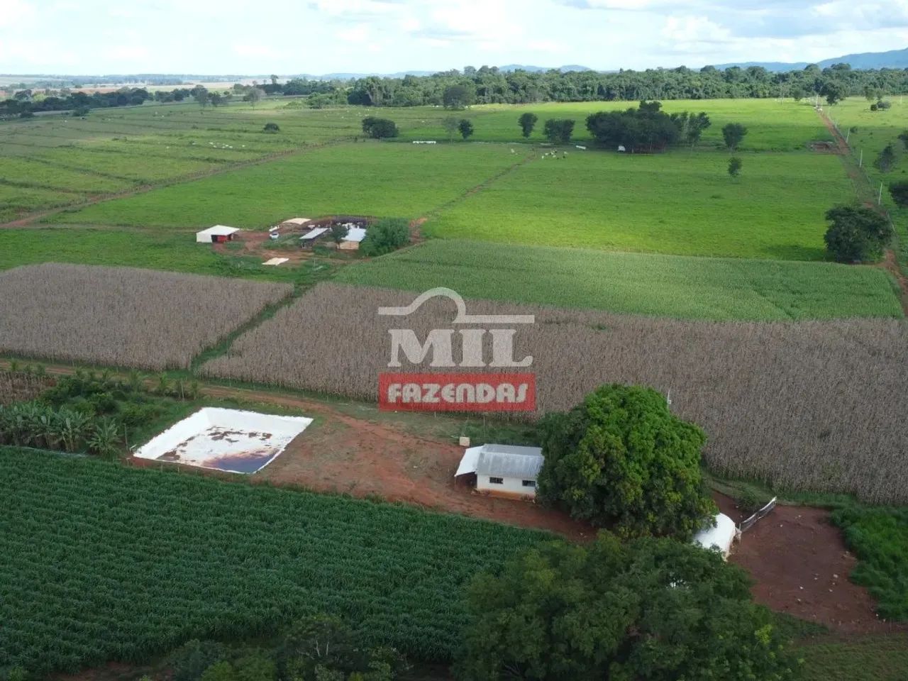 Chacara 8,24 alqueires (39 ha) Taquaral - GO - Foto 2