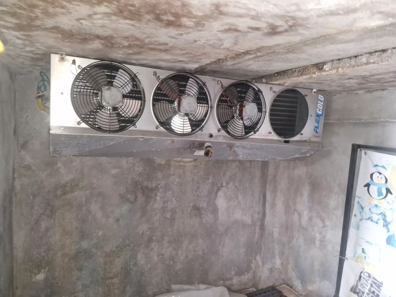 Motor para frigorífico 