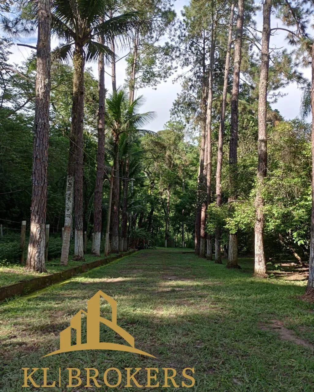 SITIO RURAL em VARGEM ALEGRE - RJ, Vargem Alegre