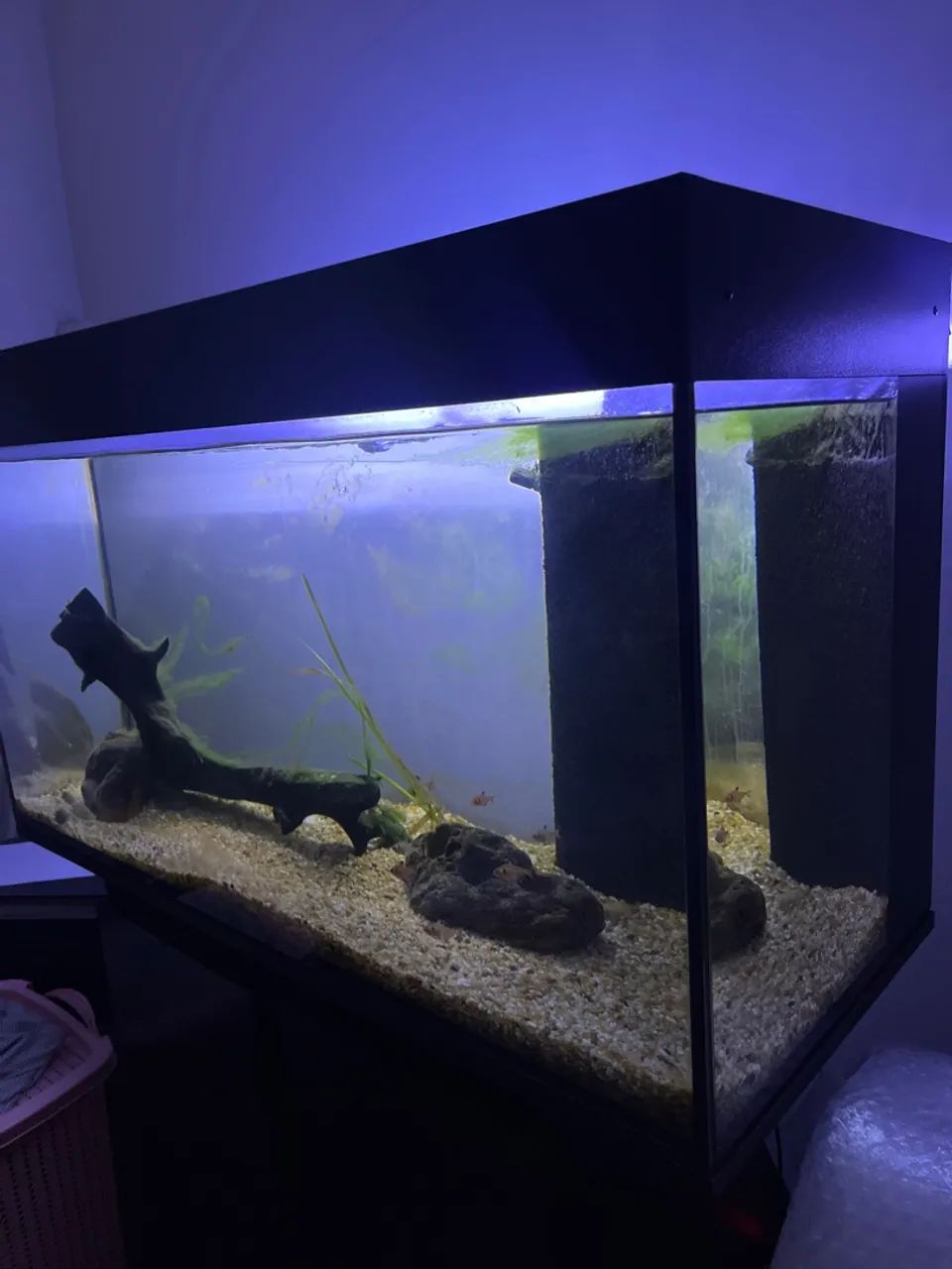 Aquário 200L (100cm largura) - Foto 2