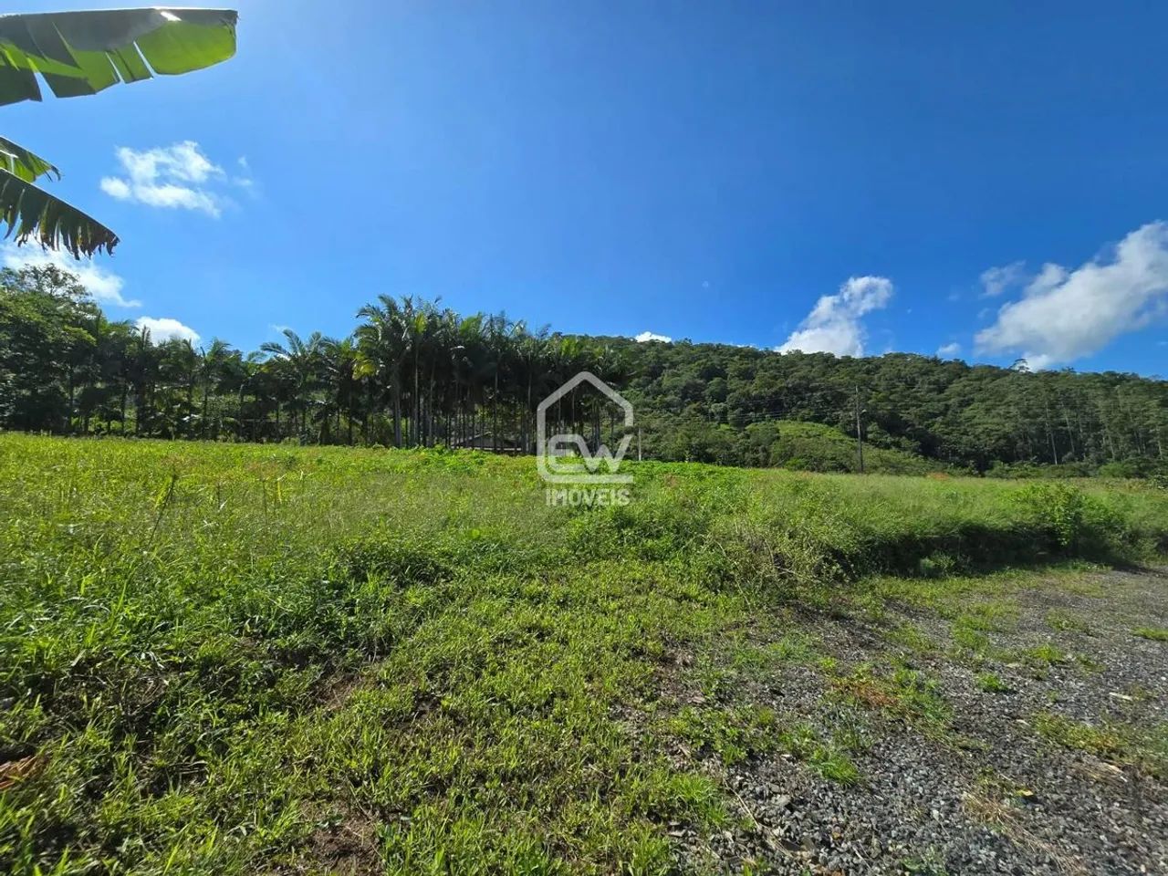 Sítio com Área Total de 33.920m² em Schroeder, SC - Foto 3