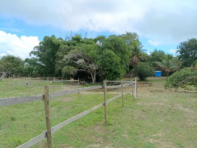 Chácaras em Satuba/AL de 3800m² a 8000m² - Foto 2