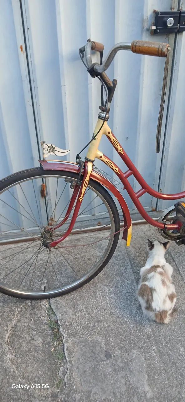 BIKE 26 ANTIGA  - Foto 3