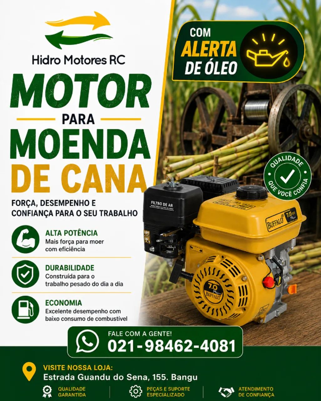 Motor 6.5 CV - Foto 5