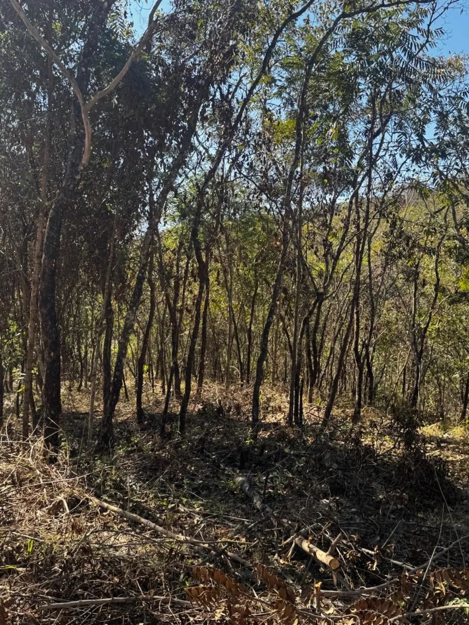 Vende-se terreno em Taquaraçu de Minas sítios chácaras  - Foto 2