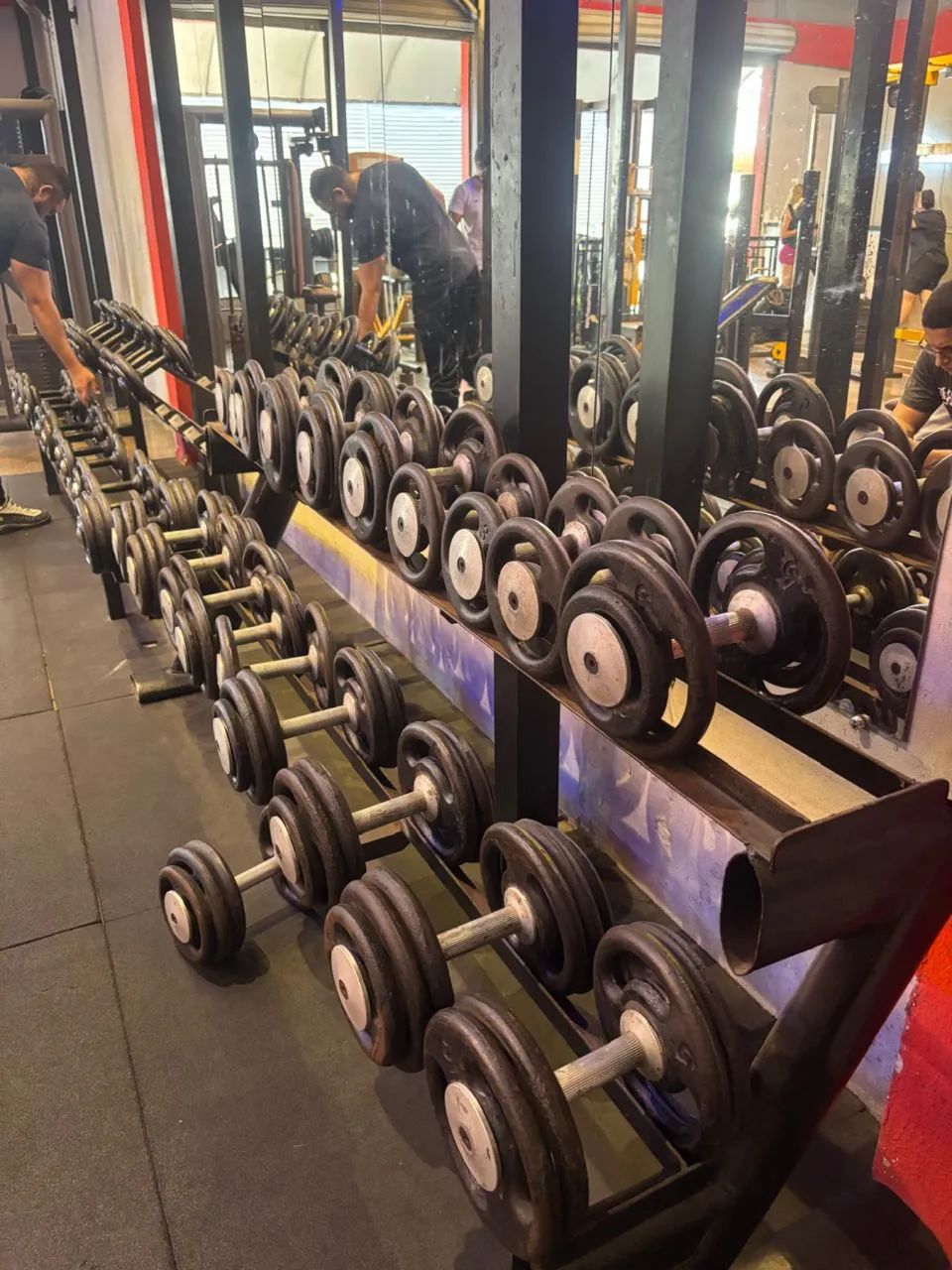 Halteres (DUMBELLS) com suporte