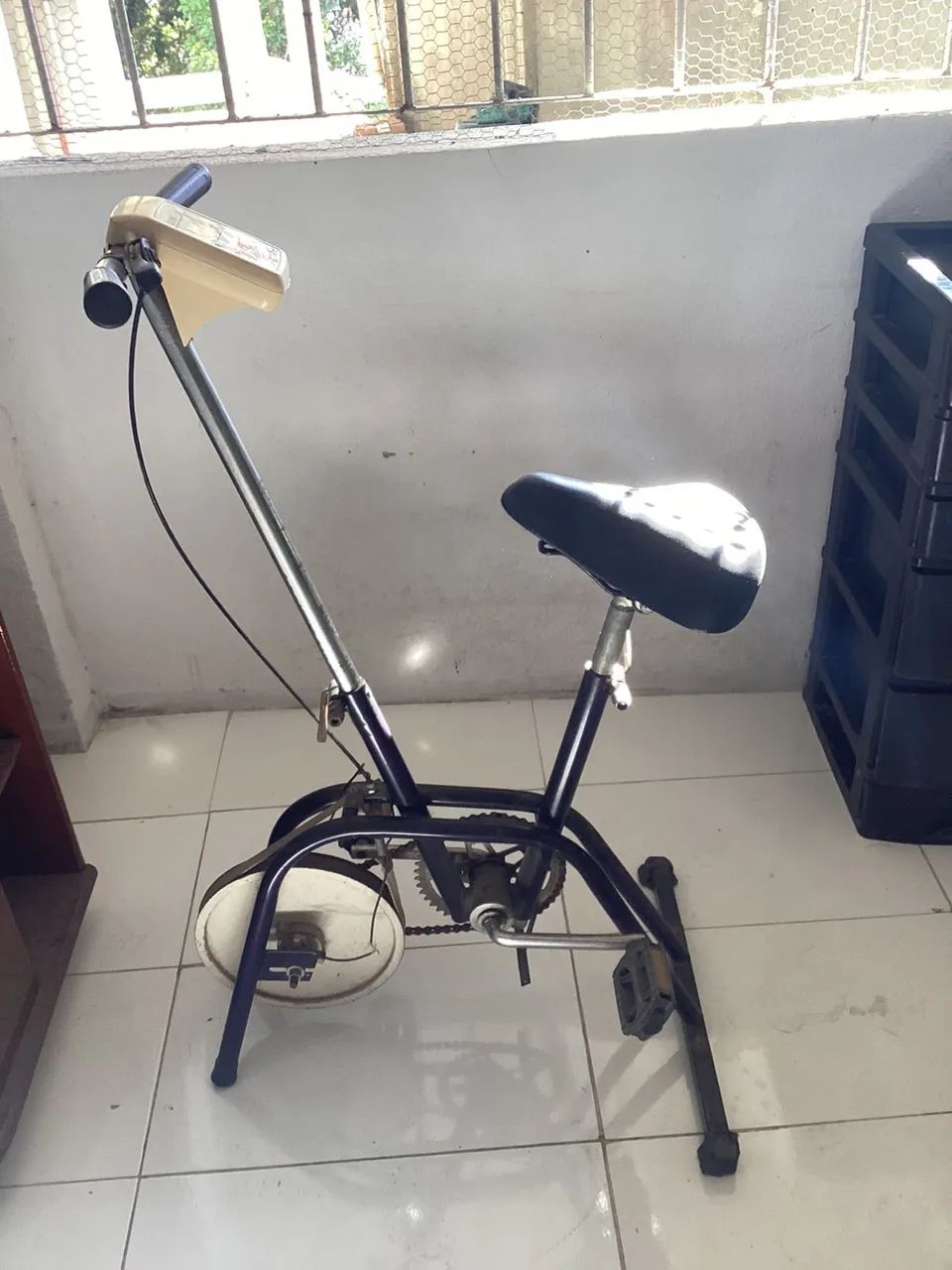Bicicleta antiga 