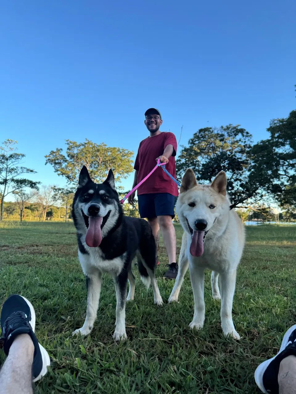 Doação cachorro  - Foto 2