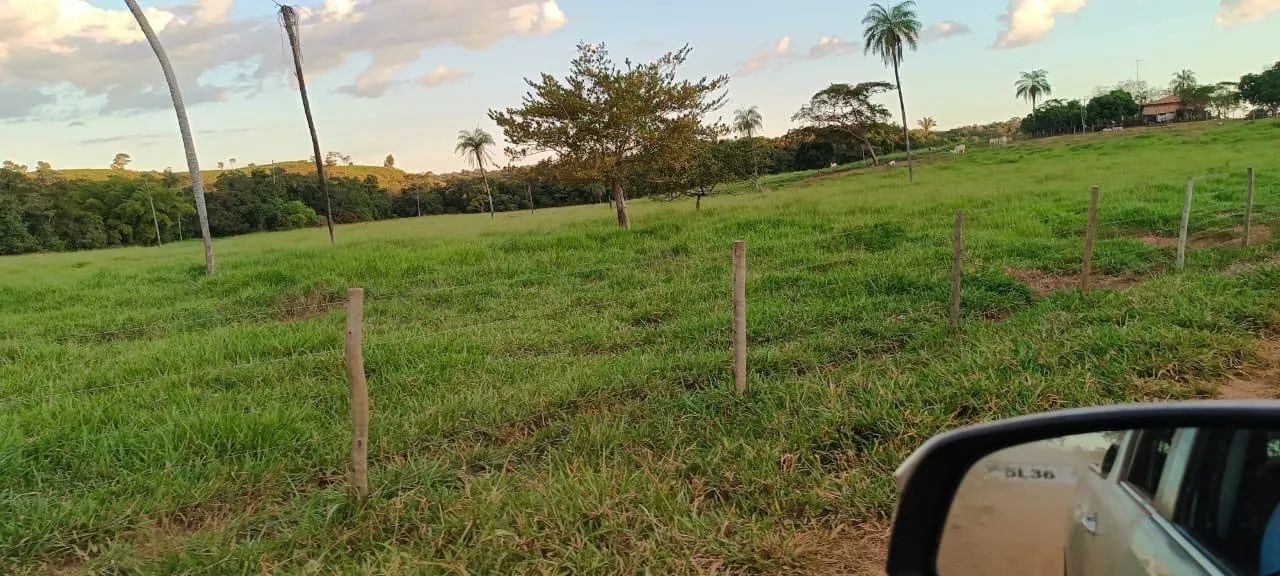 Fazenda com 155 alqueires a venda propriedade plana - Foto 3