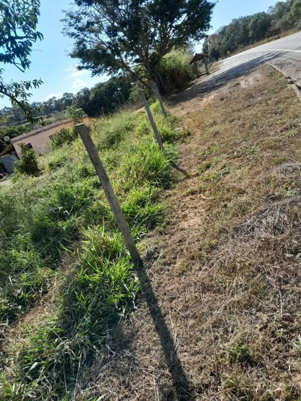 LOTE BEIRA ASFALTO - Foto 2