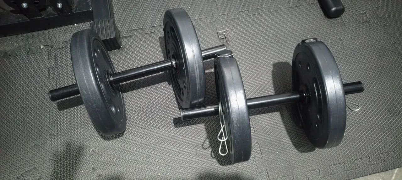 Halteres  - Foto 2