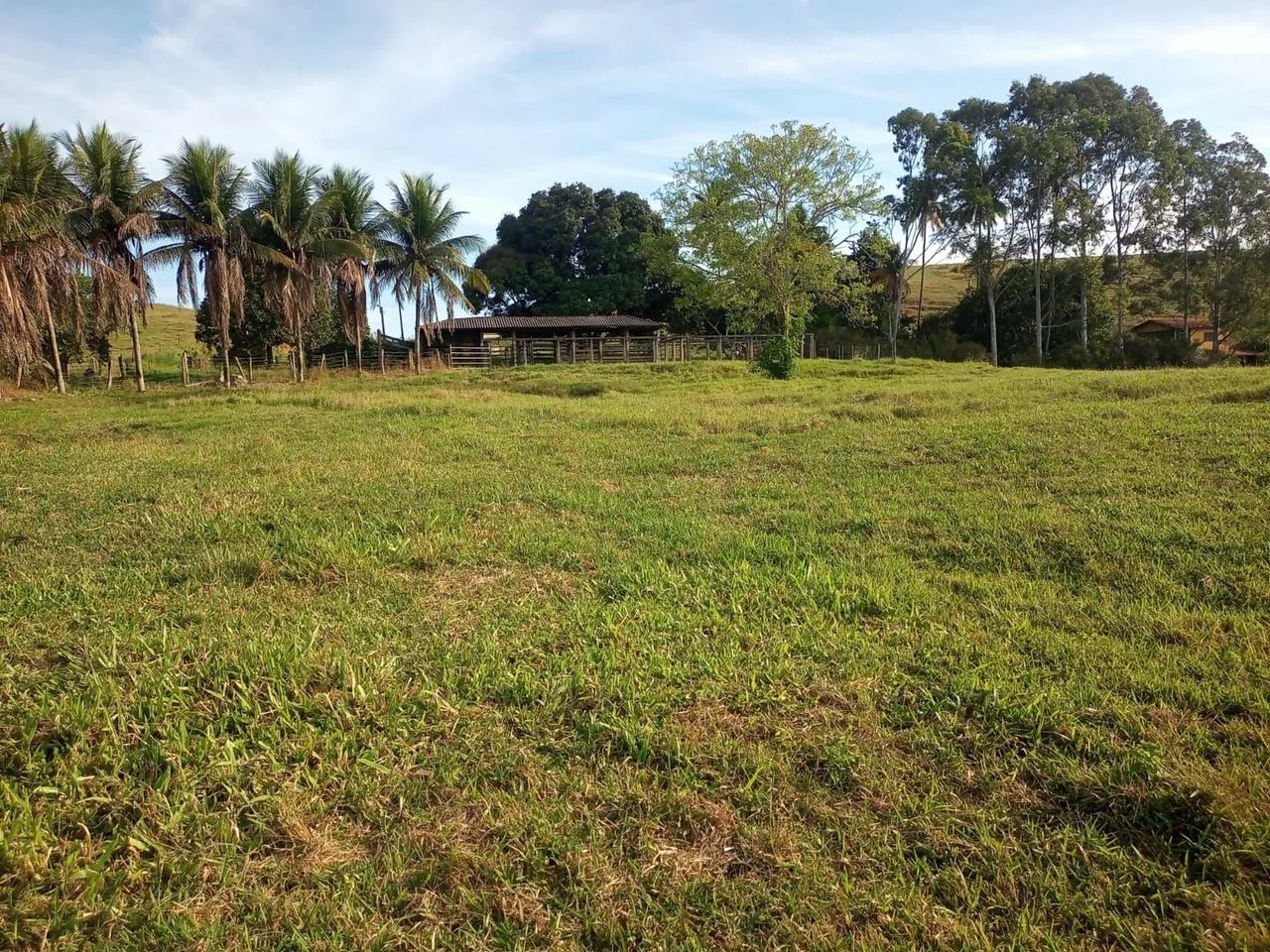 Fazenda 40 Alqueires guarapari  - Foto 5