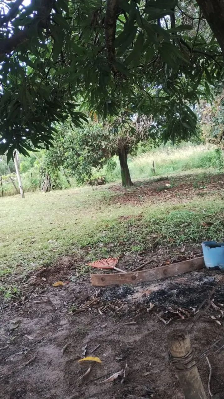 SITIO BEM LOCALIZADO CIDADE SABINO- SP - Foto 3
