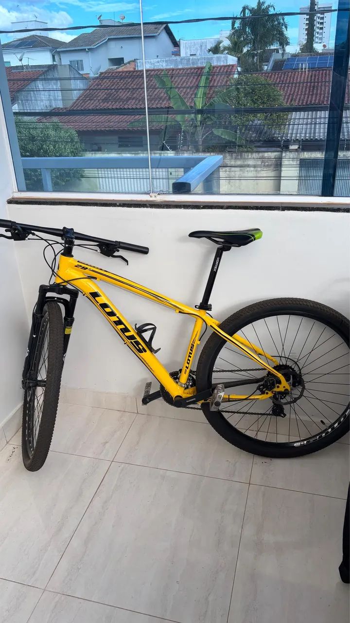 Bicicleta Mountain bike